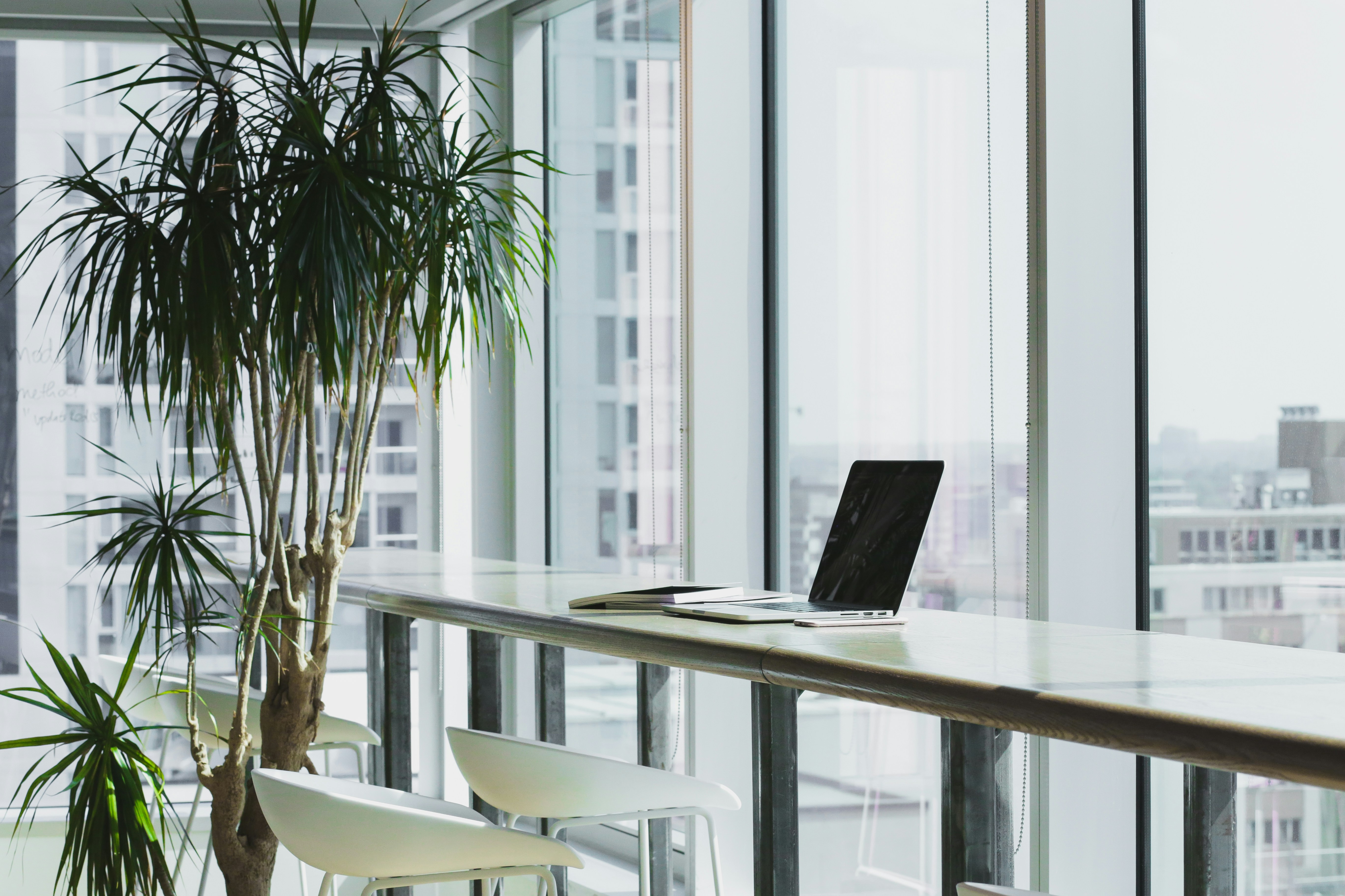 Bright office corner with plant and laptop