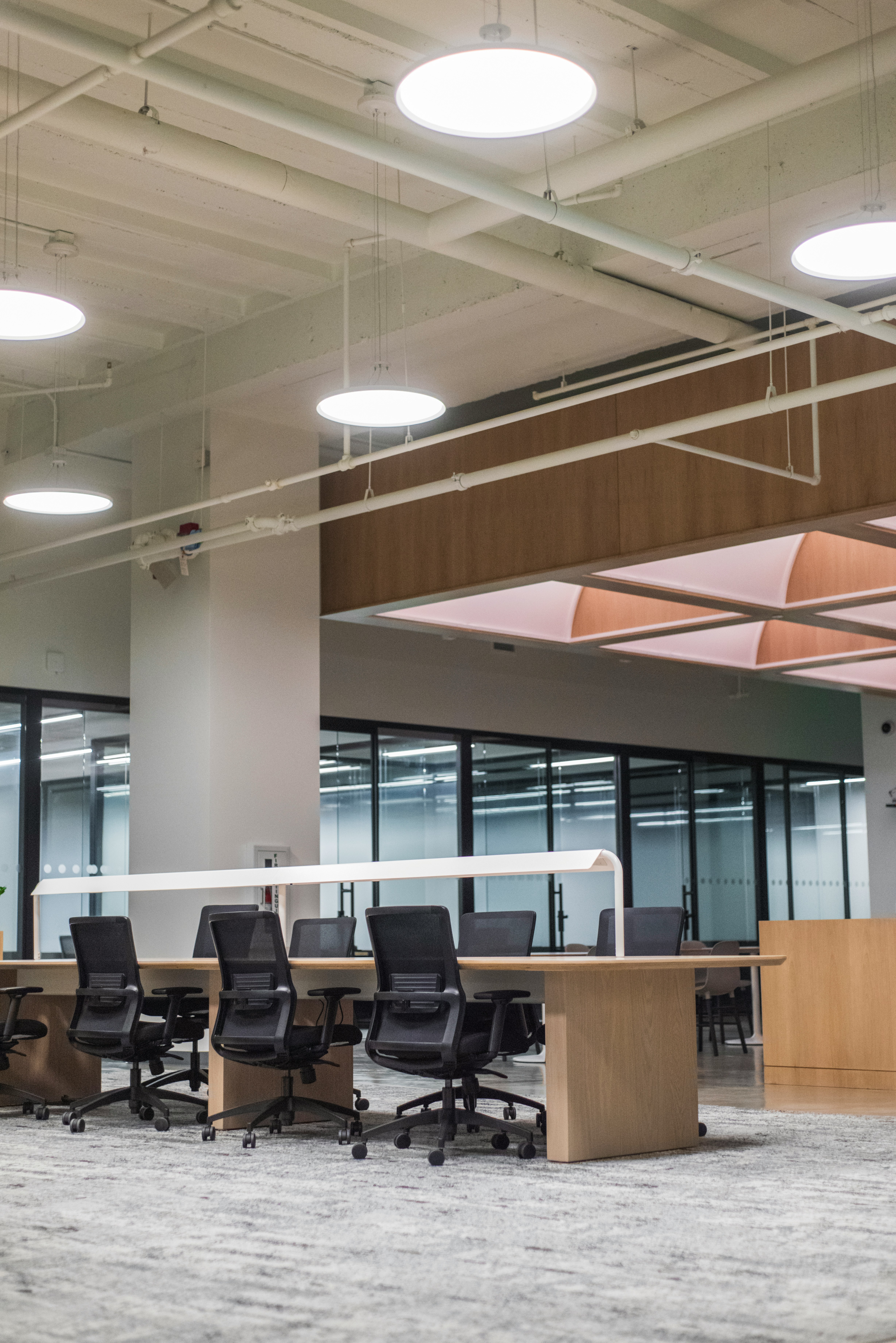 Modern office interior with ceiling lights and work desks